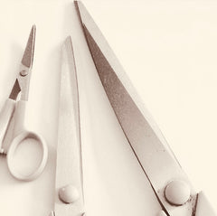 Red Rufus Black and White image of Fiskars scissors 