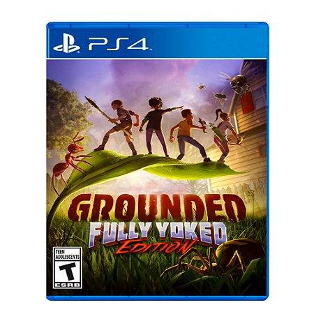 Grounded PS4 PS5 Mídia Digital 1