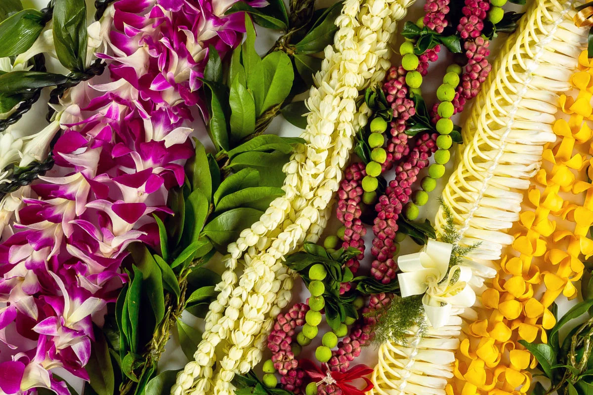 Flower-Leis.webp__PID:5c1426cc-42e3-4fe8-b6ae-c6aedbacecad