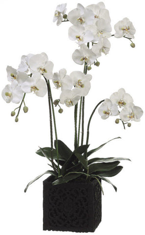 Lifelike White Phalaenopsis Orchid Floral Arrangement - Innovations Designer Home Decor