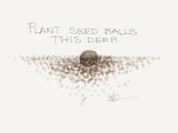 Asclepias longifolia var. hirtella, Tall Green Milkweed Seed Balls - Seed-Balls.com
 - 5