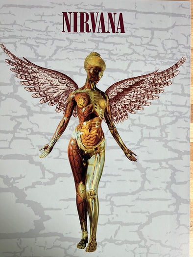 Nirvana Concert Poster Iron On Transfer #4 - Divine Bovinity Design