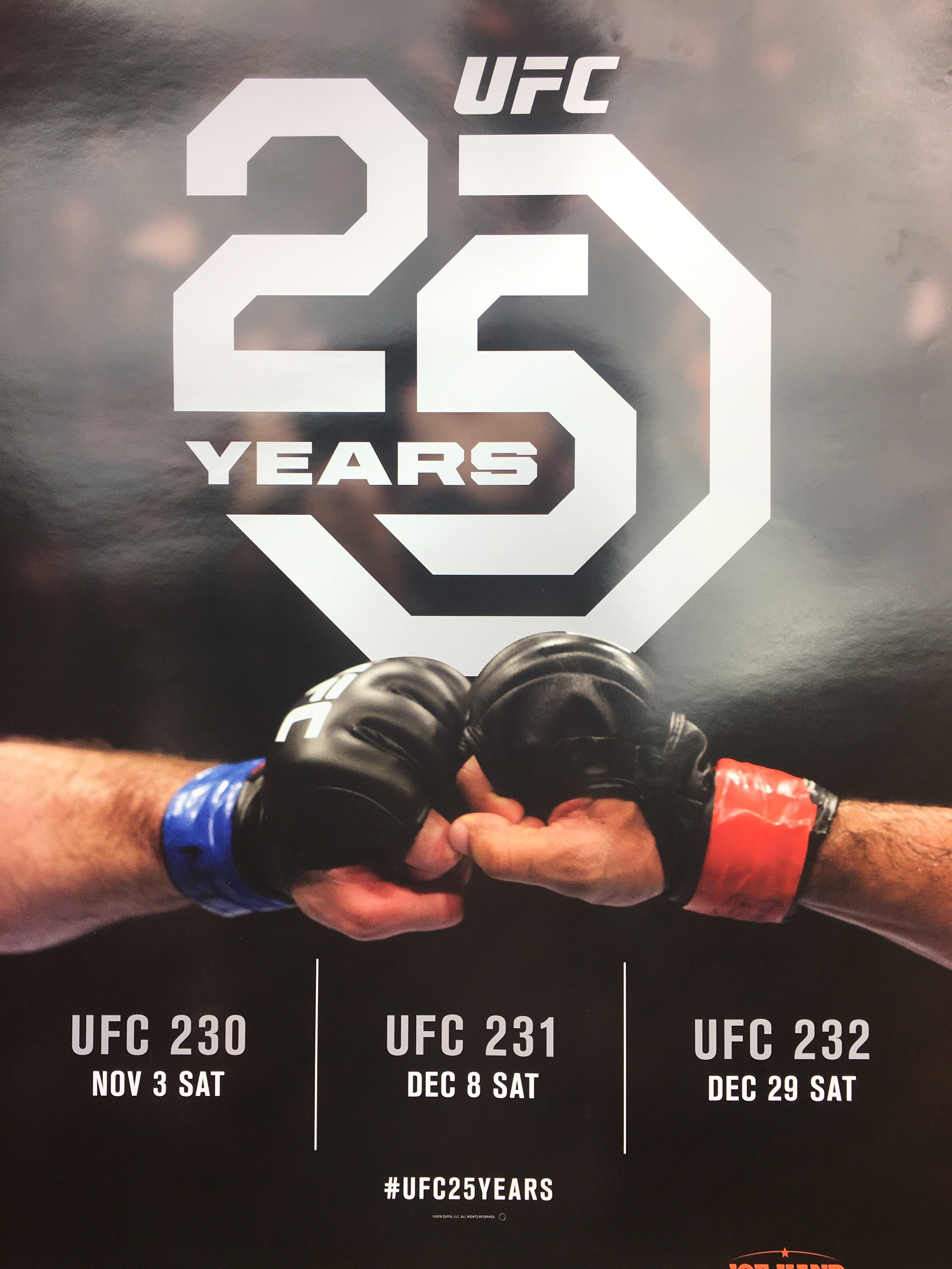 Ufc 25.02 2024. Юфс 25. UFC 230. UFC Постер дизайн. Станок УФС 25 создатель.