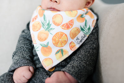 foodie bib