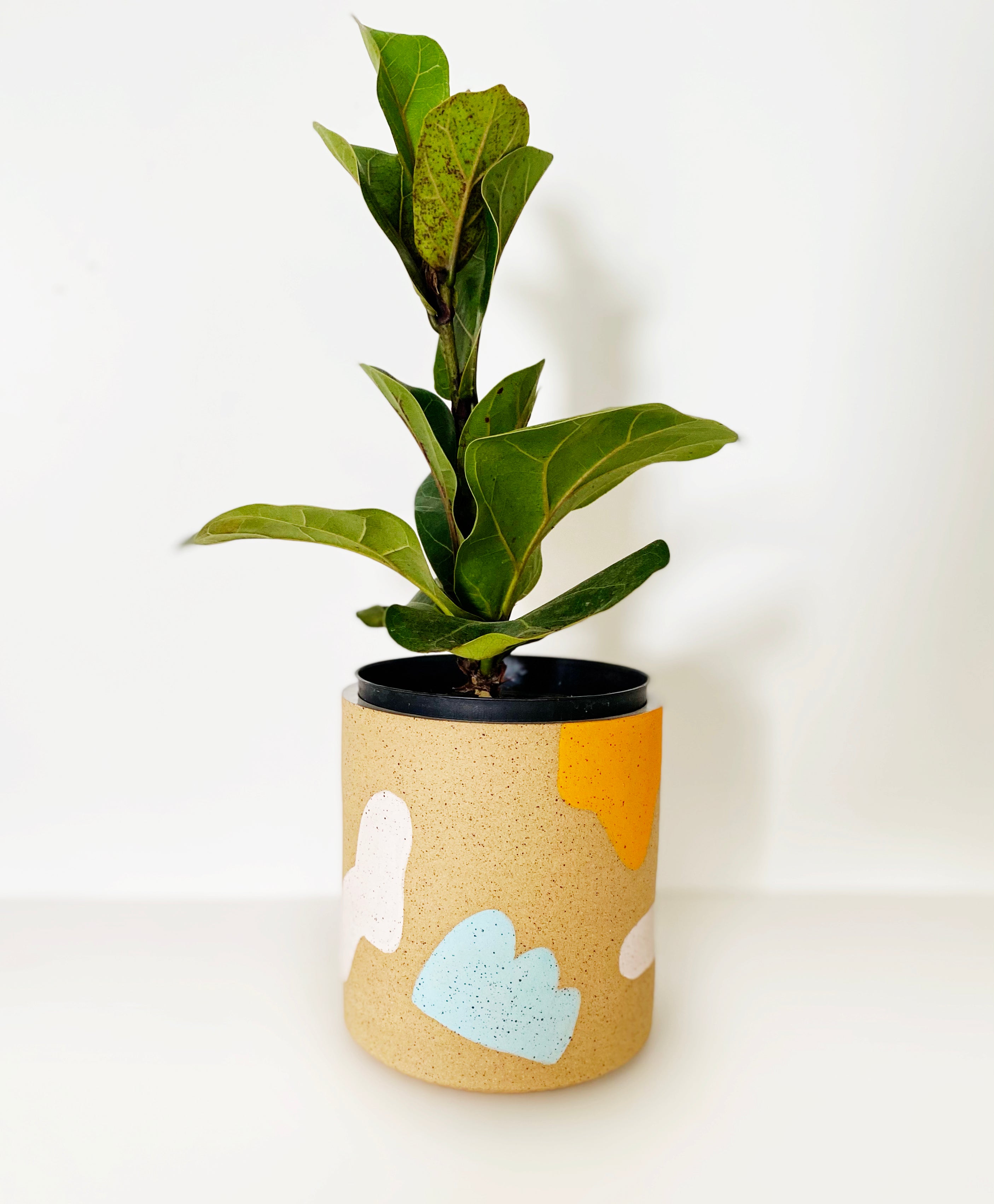 Poppy Planter