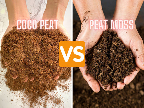 The Difference Between Peat Moss and Compost