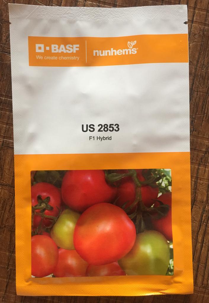 Buy Us 2853 Tomato Seeds Us Agri Seeds Farmers Stop