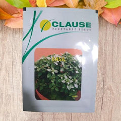 basil (clause seeds)