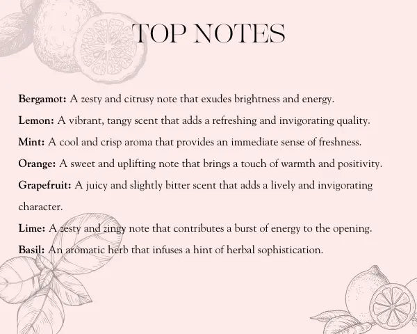 Fragrance Top Notes