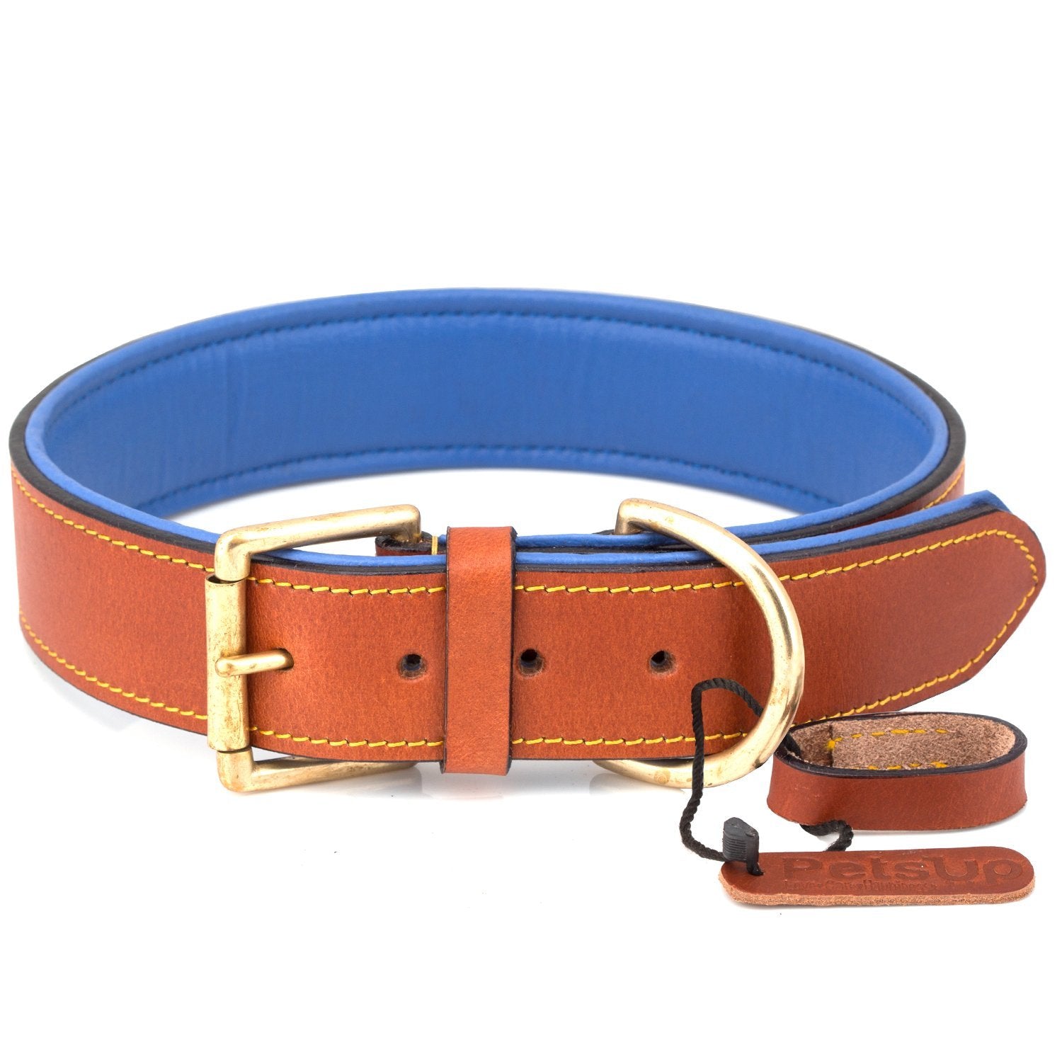 dog collar belt