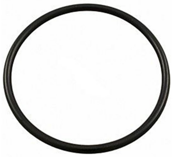 Super-Pro O-419-9 Challenger Seal Plate O-Ring