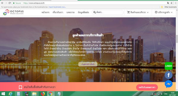 Ecommerce Web Design & Development in Bangkok Thailand for Octopus 4