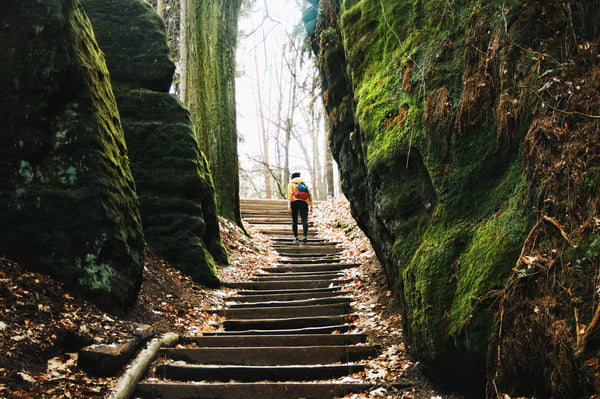 Hiking routes in London