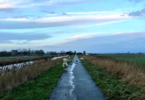 can you cycle to Bruges