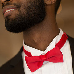 Bow ties and long ties at low prices