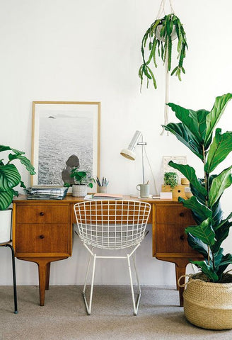 home office with plants