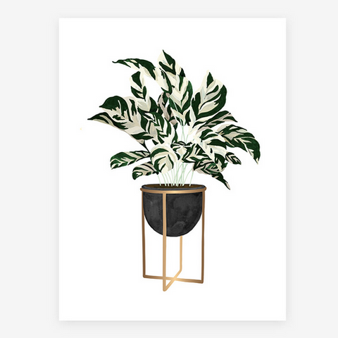 Art Print / Poster