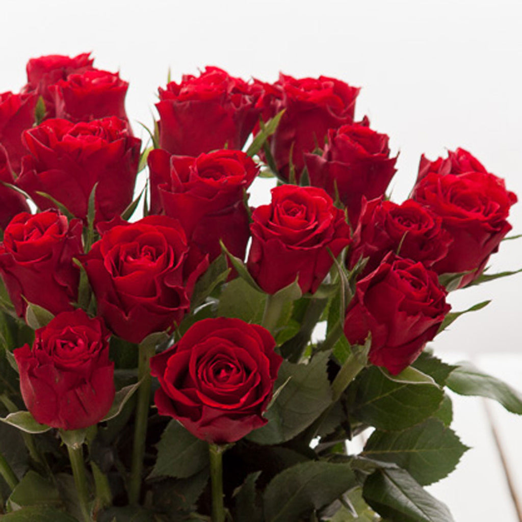 Cheap Red Roses Flower Bouquets - Next Day Delivery – Valueflora