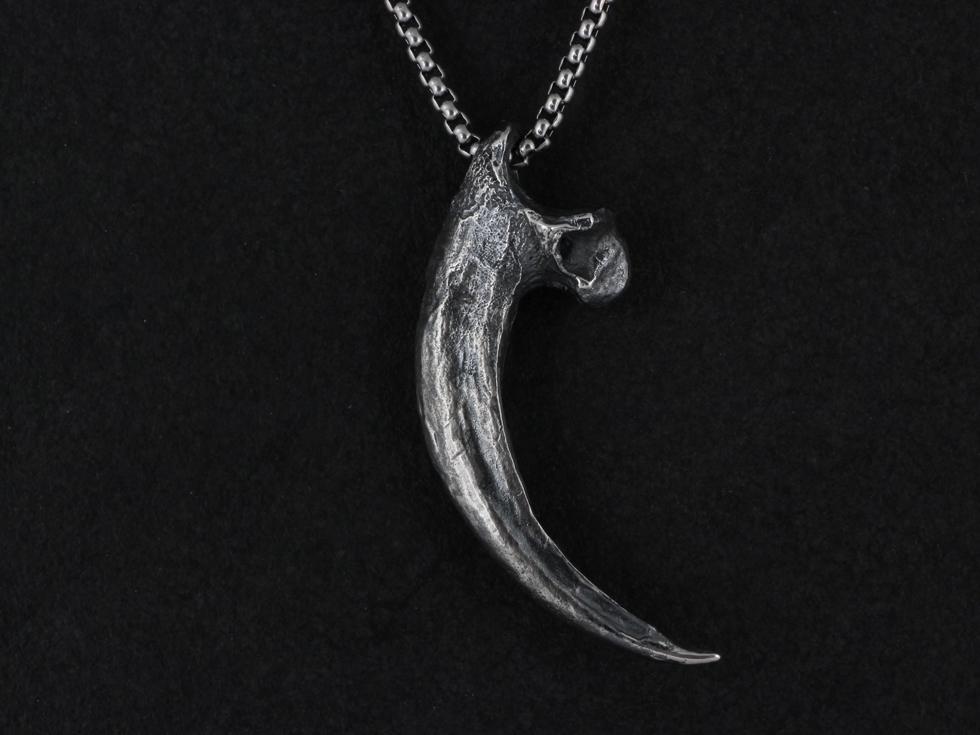 Sterling Silver Harpy Eagle Talon Necklace by Lost Apostle