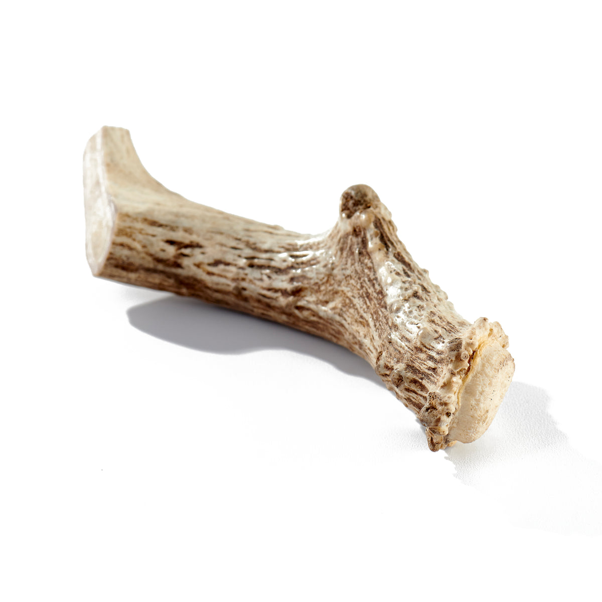 can dogs digest deer antlers