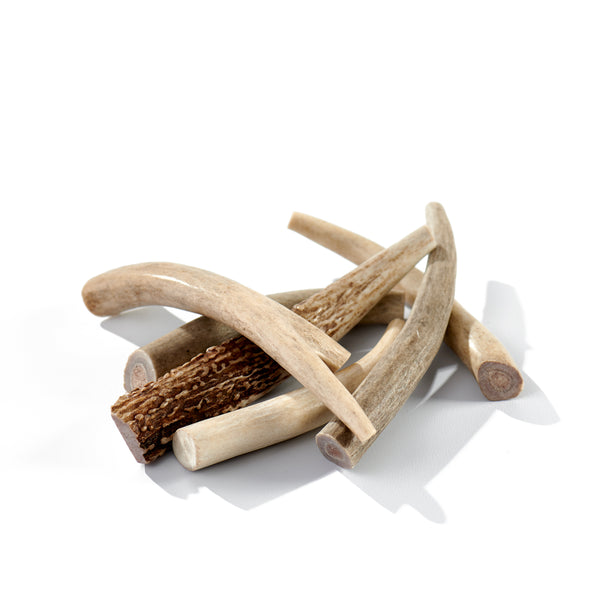 Canadian Whole Deer Antler Chew – BRB Pets