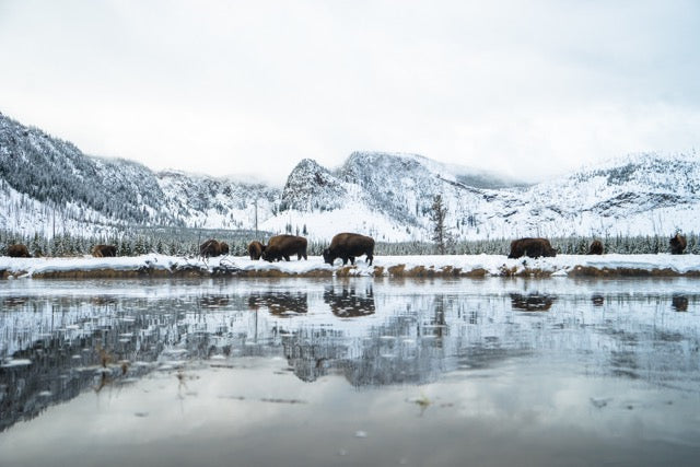 Chris Burkard