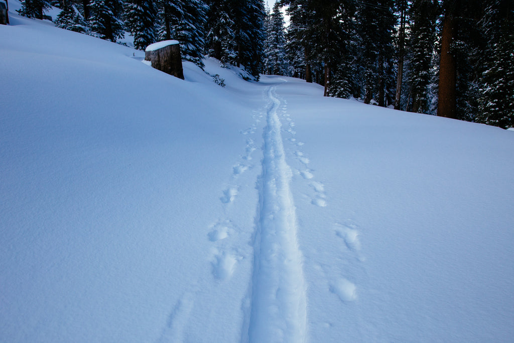 splitboarding-mizu-life