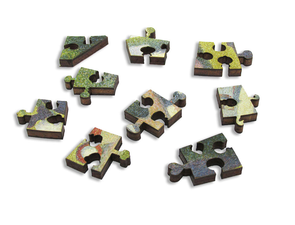 Puzzle magnétique Zoo - Ulysse 59702 - Puzzle Premier âge - Puzzle en bois