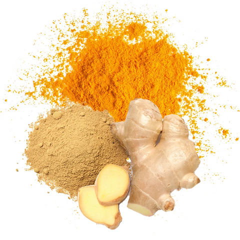 Ginger and Turmeric