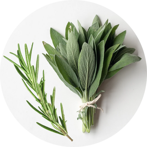 Rosemary and Sage