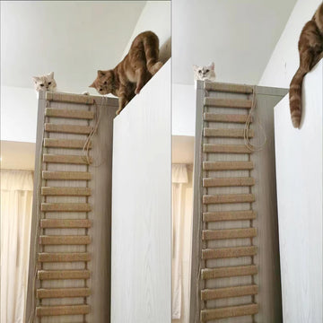 pet furniture product