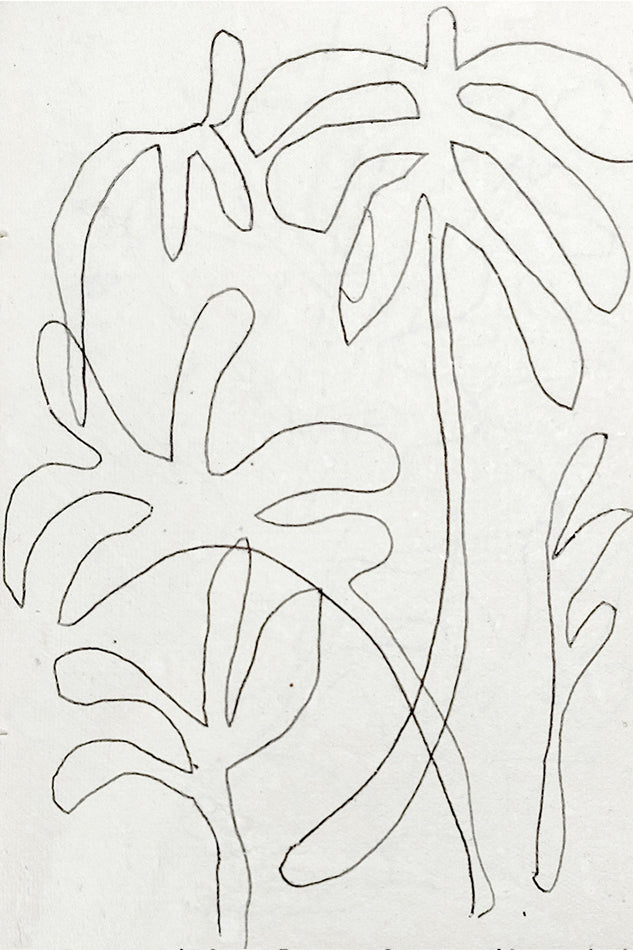 botanicals print brisbane artist