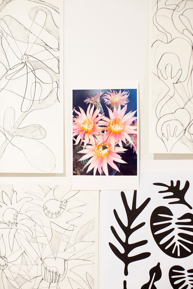 botanicals prints canvas prints