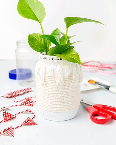 Empty Peanut Butter Jar Repurposed into a Planter