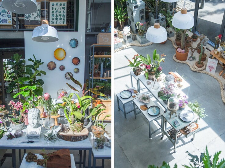 FLO atelier botânico the ultimate botanical concept store insider trends reportFLO atelier botânico the ultimate botanical concept store insider trends report