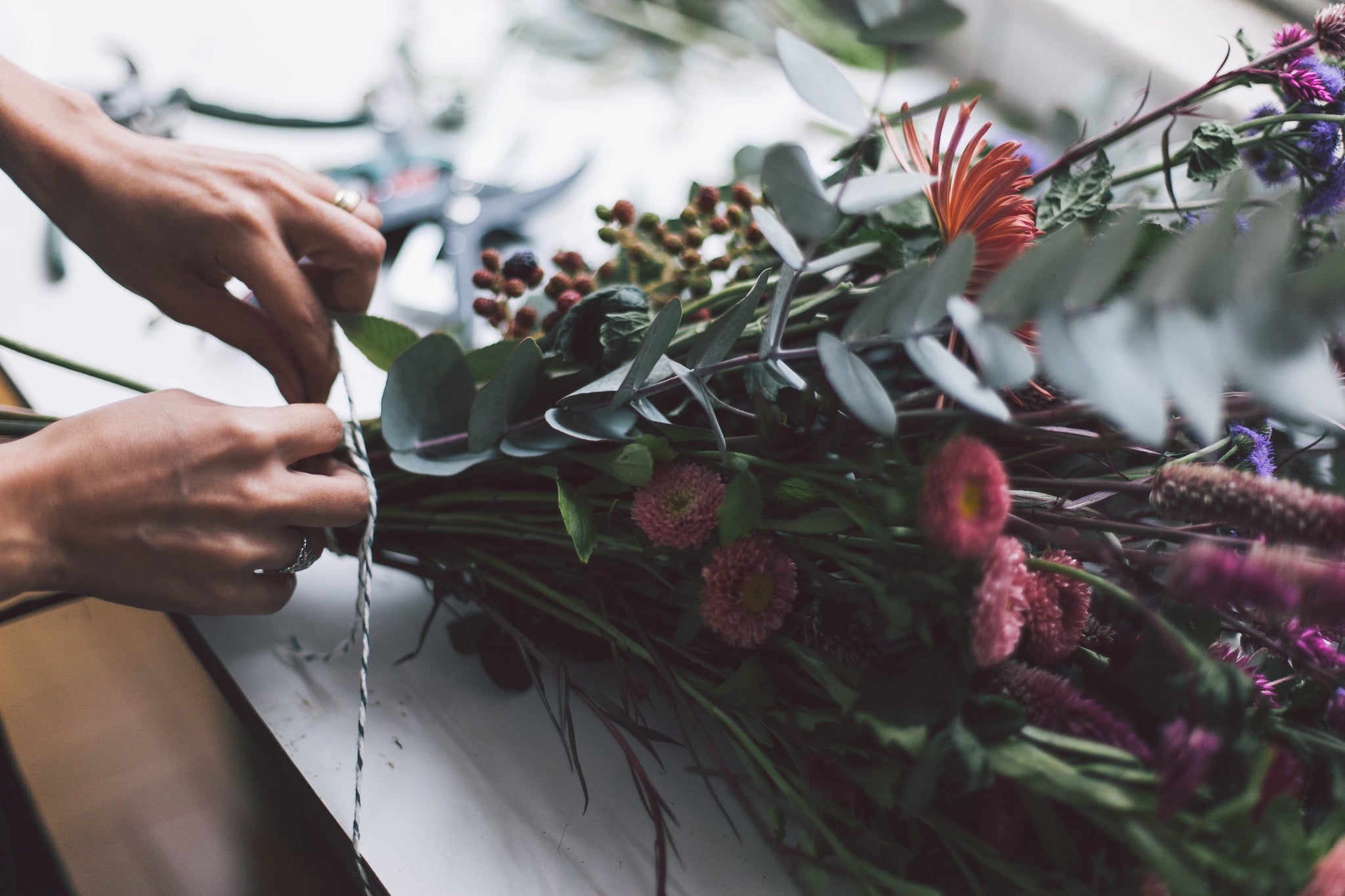 FLO atelier botânico flores