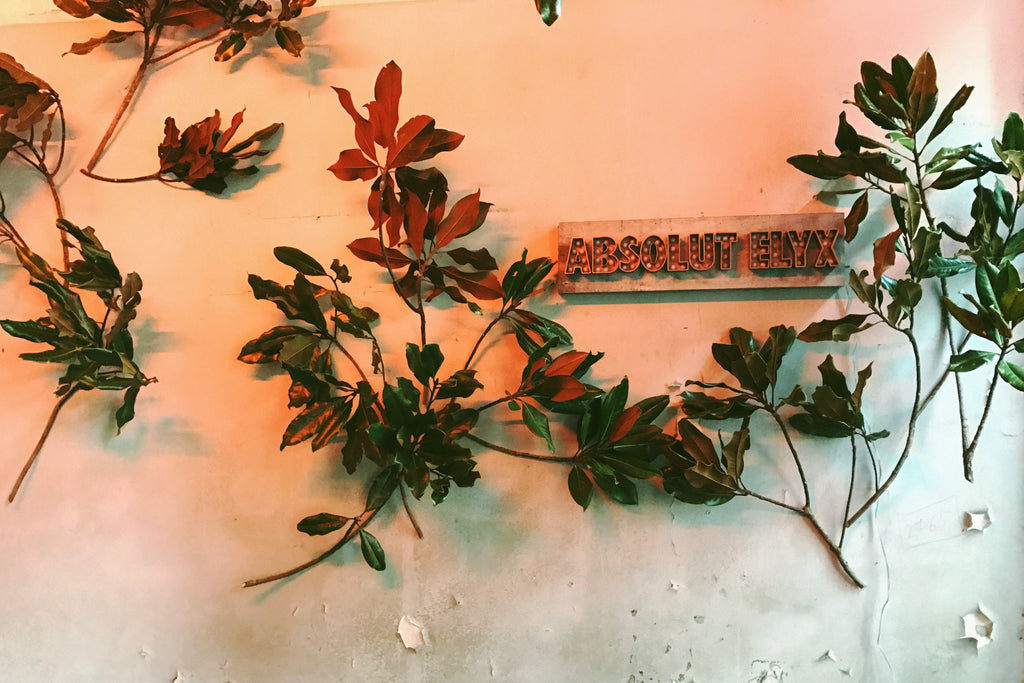 instalação botânica FLO atelier botânico