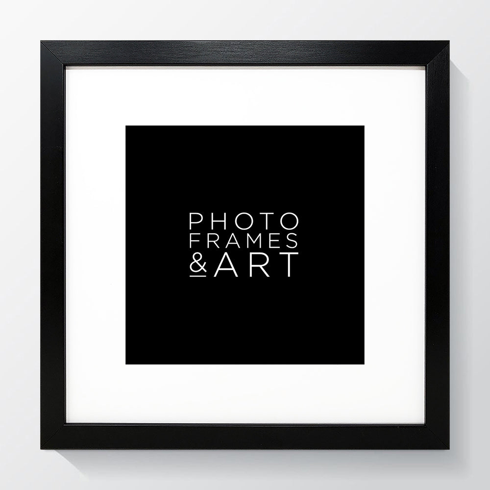 Mantello 12X12 Frame White Set of 6-12 X 12 Frame Square Picture Frame, 8X8  Pict