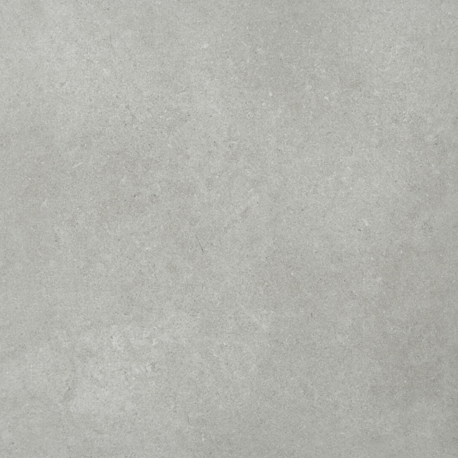 Grey Fossil Porcelain Paving 595x595mm - 2 Tiles (595x595mm)