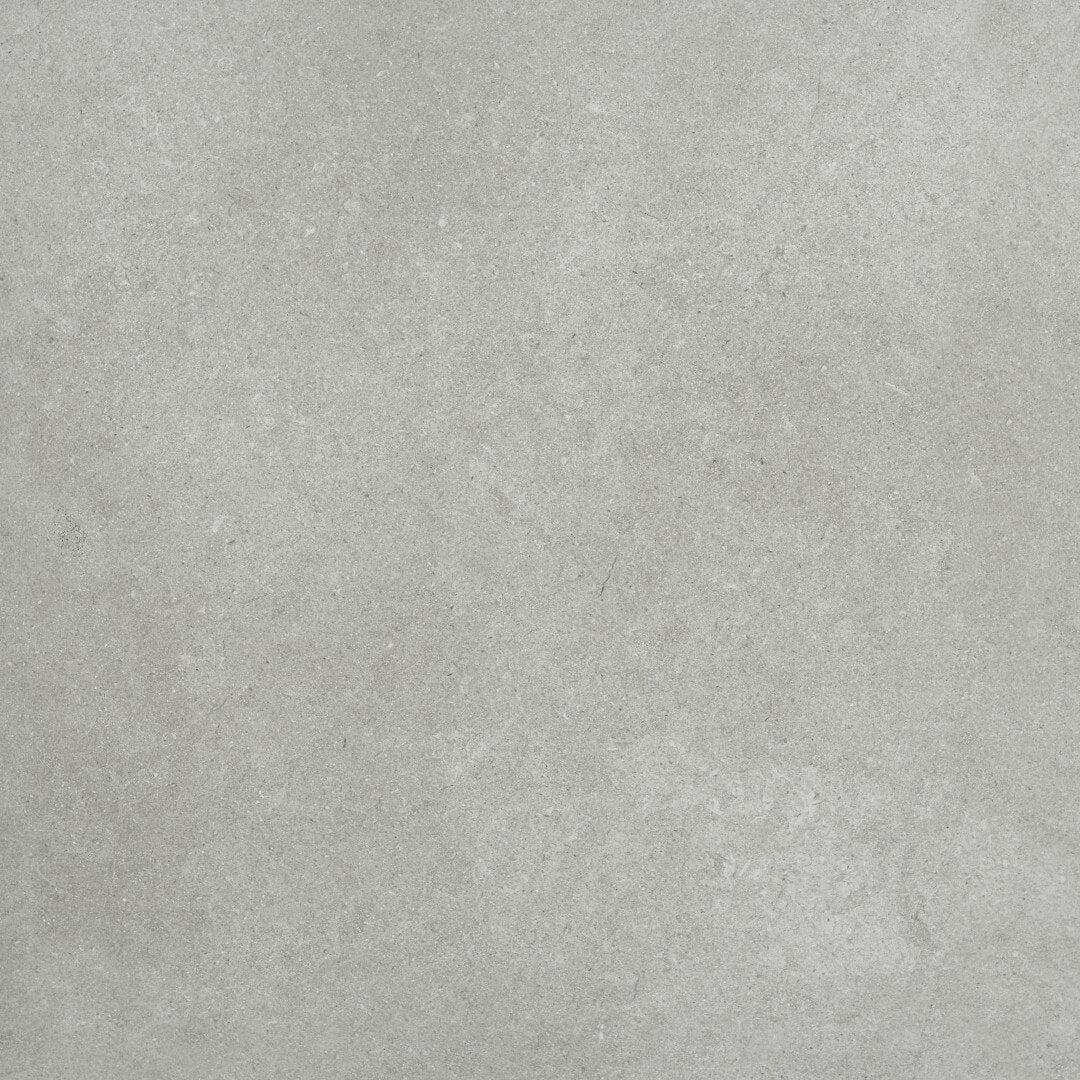 Grey Fossil Porcelain Paving 595x595mm - 2 Tiles (595x595mm)
