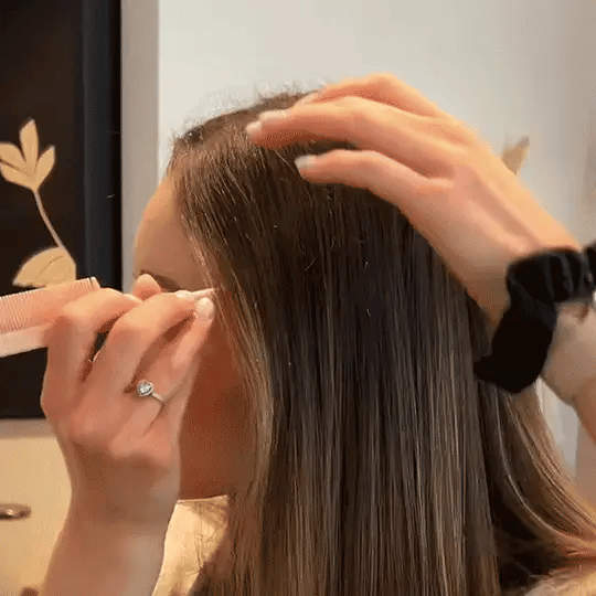 Section Your Hair