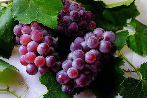 Heart Health After 50: The Best Supplements - Grapes, clusters with leaves