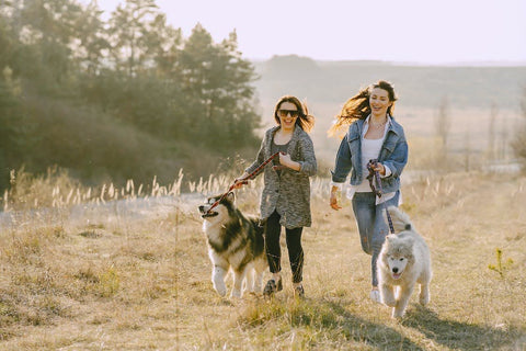 How to Make Your Resolutions Stick - Two women walking dogs outdoors