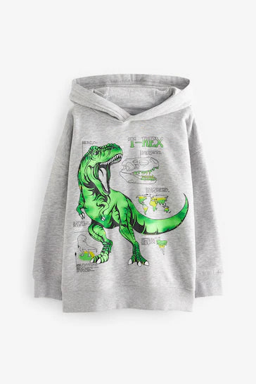 |BigBoy| Moletom Cinza Com Estampa De Dinossauro (3-16 anos)