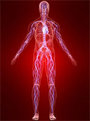 Inflammation in the body