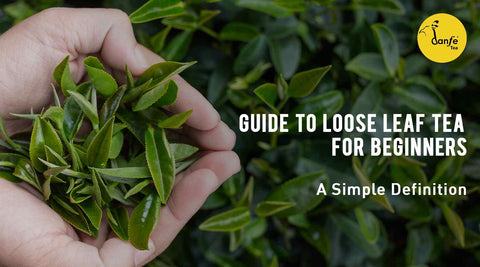 A hand cupping some freshly picked tea leaves with blog title