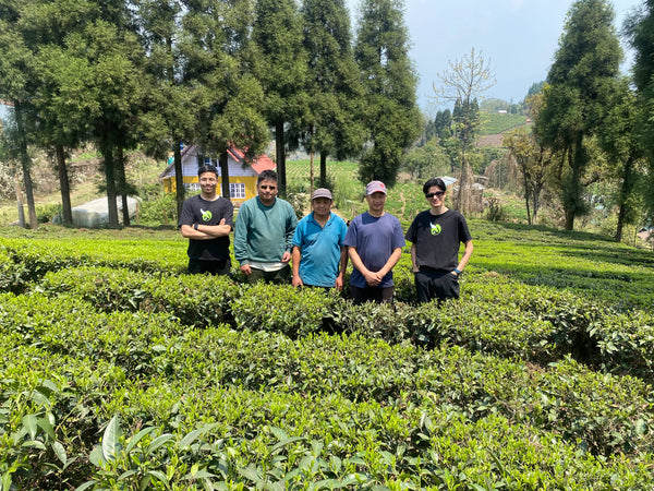 Danfe Tea's team at tea garden