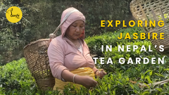 Exploring Jasbire in Nepal's Tea Garden