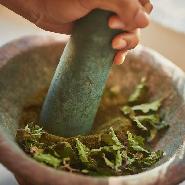 A mortar and pestle are used to gently crush tulsi leaves into a coarse powder, ideal for brewing.