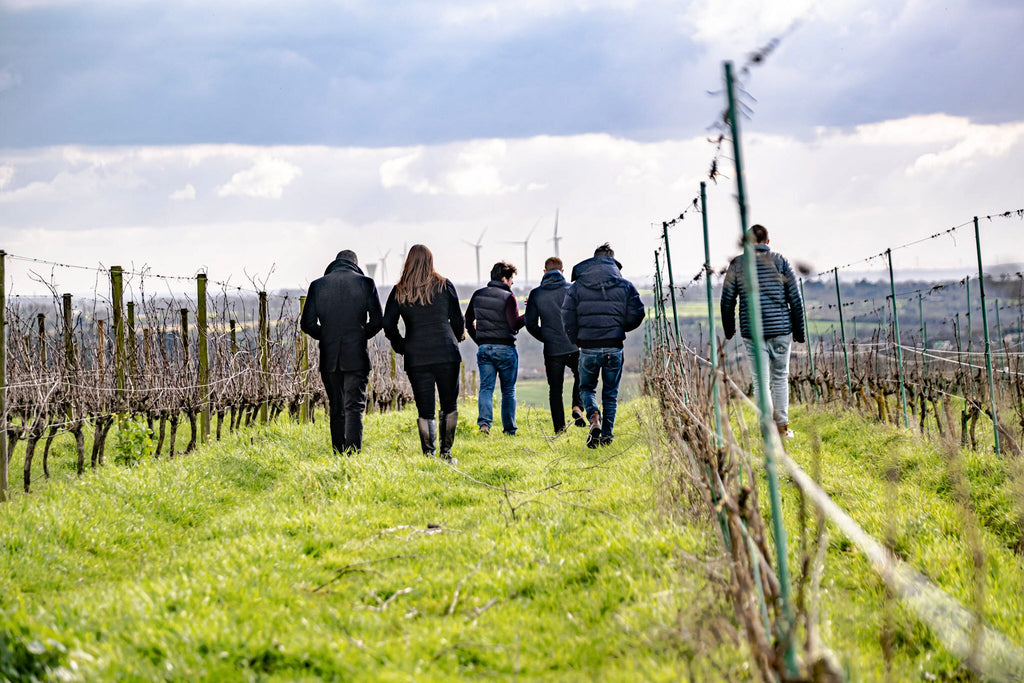 The Dry Farm Wines Wine Team visits Fief Noir’s Natural Vineyard